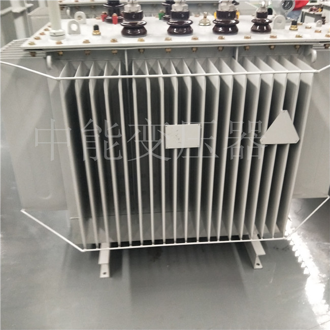 广安S20-800KVA变压器