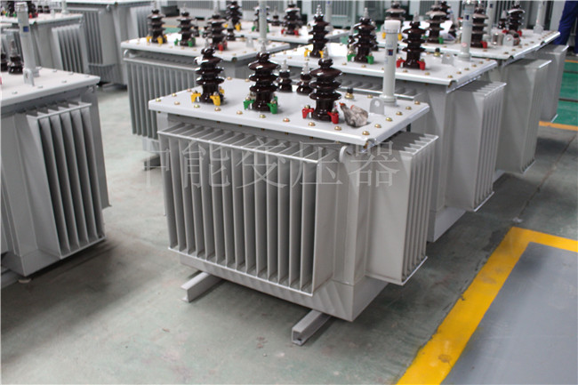 广安S22-250KVA/10KV变压器